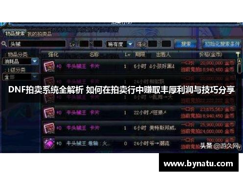 DNF拍卖系统全解析 如何在拍卖行中赚取丰厚利润与技巧分享
