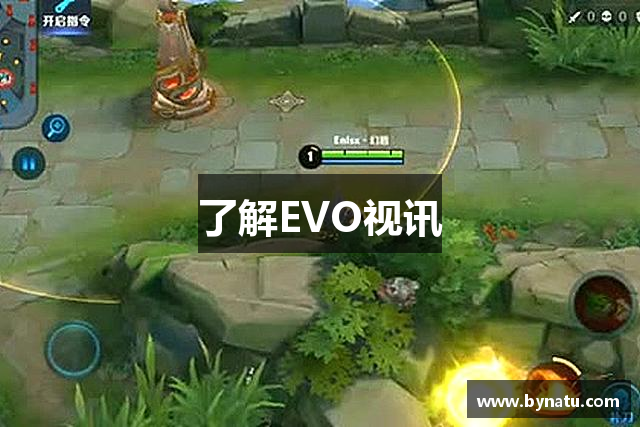 了解EVO视讯